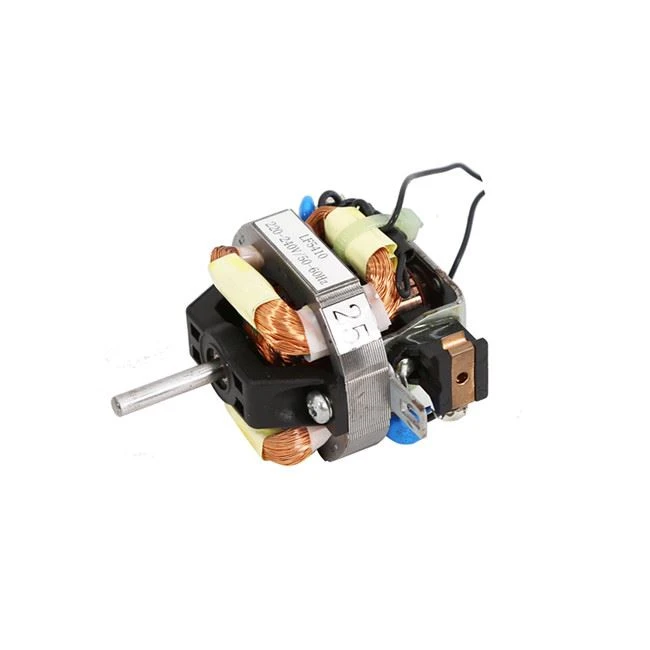 Professional Hair Dryer AC Universal Motor